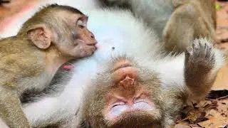 however child big, They try feed Mom,  Mom care her healthy in hard active.