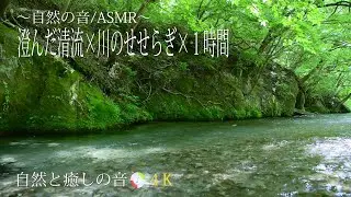 【自然の音】癒される水の音、川のせせらぎ、ストレス、自律神経を整える、疲労軽減、癒し、睡眠、リラックス、作業用BGM/River Sound/Nature Sounds/4K