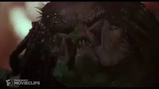 Predator Go Skraa