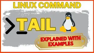 How to use tail command in Linux | Top 5 Uses For Linux tail command with Examples !