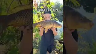 #рыбалка #карп #карпфишинг #fishing #carpfishing #рыбалканапоплавок #рыбалканаозере #озеро #рыбак