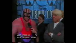 WCW Wrestling - DSF - 1995 (deutsch) #115