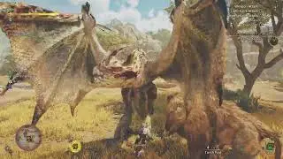 Monster Hunter Wilds: Blow for Blow! Bar for Bar! Rose knight vs Seregios Quest!