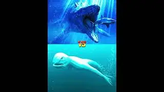 Sea predators versus Blue, Megalodon, Mosasaurus, Mermaid, Angry Fish, Basking Shark#DeepSeaMonsters