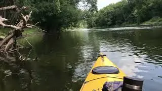 Loch ness monster mystery solved?