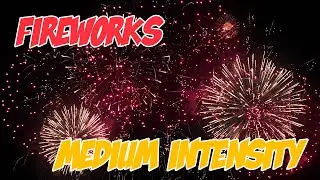Firework Exposure Therapy For Dog Desensitising   Medium Intensity