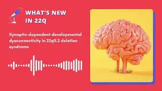 What's new 22q - Episode 1 - Synaptic Dysconnectivity in 22q11 - produced by Stephan Eliez