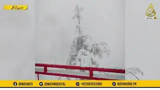 Heavy snowfall in Shangla Top | 2020