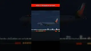 Beautiful Night Landing | Airbus A330 of Philippine Airlines