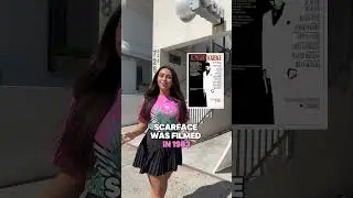 Miami Bus Tours | Scarface Movie location with Flamingo Bus Miami Tour #royalcaribbean #msccruises
