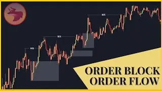 Order Block vs. Order Flow: The Ultimate Showdown