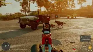 Far Cry 6 | How to make BOOM BOOM collect ammo from dead bodies