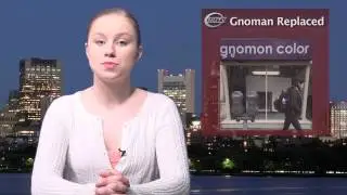 News Show 511
