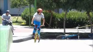 Lalo pro 2010