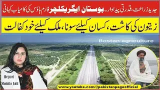 Olive Cultivation: Gold for Farmers, Self-Reliance for the Nation”  بوستان ایگریکلچرکی کامیاب کہانی”