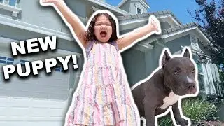 SURPRISING MIZO WITH A NEW PUPPY!