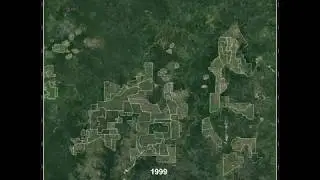 Oil Palm Expansion (1990-2015)