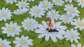 card captors sakura en el país de las maravillas