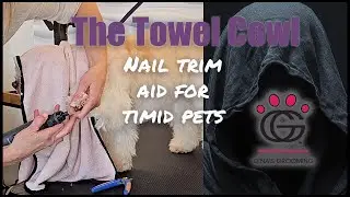The Towel Cowl – Timid pet nail clipping tip with Thunder the Maltipoo!
