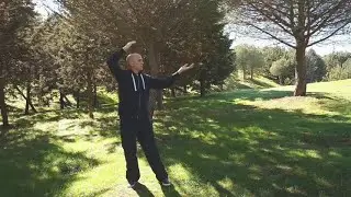shibashi Tai Chi Chi Kung 18 movimientos