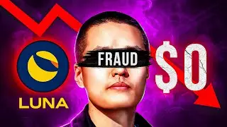 The $45 Billion Terra Luna Collapse Explained