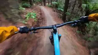 Te Poaka at Rotorua Redwoods MY FAVOURITE TRACK!!