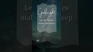 Beautiful Good Night Status, Good Night Quotes #shorts #goodnight
