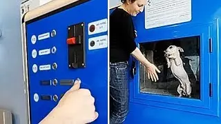 The Most Unusual Vending Machines