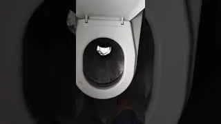 Kibel w Kiblu czyli system WC w EN57