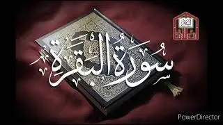 morning 🌄 recitation holy Qur'an paak Mind science night relaxing Qur'an Nasheed