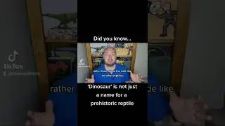 Did you know how dinosaurs are classified? #dinosaur #palaeontology #science #shorts #stemwithmrn