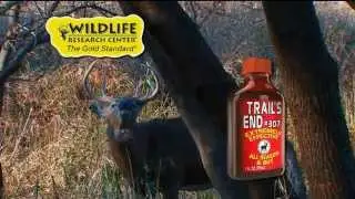 WRC Trails End #307 Полевой совет