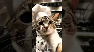 Doracake recipe by meow chef mashaa 👩&zwj;🍳#shorts #reels #youtubeshorts #doracakerecipe