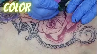 Color rose tattoo - time lapse