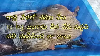 dark night fishing in winter season I got so many fishes🐟