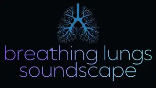 10 HOURS of Deep Breathing Lungs /Stethoscope ASMR Sounds (Pitch Black Screen)