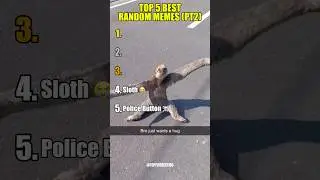 Ranking The Top 5 Best Random Memes 🤣 (Part 2) #memes #funny #shorts