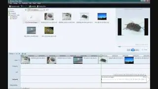 Soundslides in Windows Movie Maker