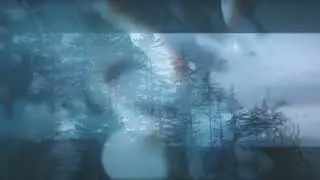 Blurstem - Wilderfields