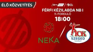 NEKA – OTP Bank-PICK Szeged | férfi K&H Liga | 11. forduló