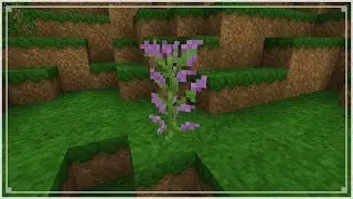 SpeedTexture - Lilac
