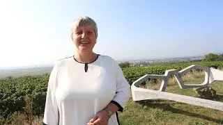 Expertengebiet Grafenegg