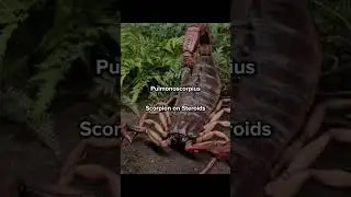 Scary Prehistoric Animals 💀