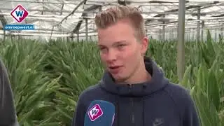 Glasschade bij kwekerij De Koning in 's-Gravenzande
