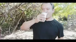 Mi Viejo violín - chacarera 