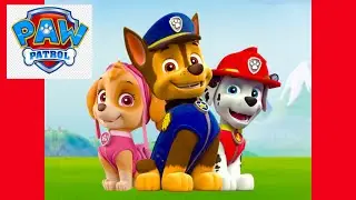 PAW PATROL RESCUE WORLD: Chase and Skye Mission