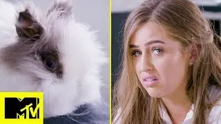 Celebs vs Pets: Georgia Steel sfida il suo coniglio Winnie