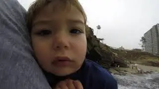 Shell Beach   La Jolla San Diego