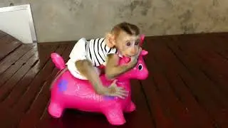 So cute little baby monkey Avatar riding a deer