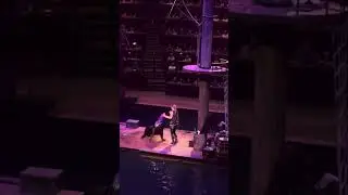 Salty the dancing Sea Lion!!